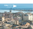 GAL FISH Liguria