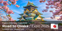 16 e 23 gennaio 2025  "Road to Osaka 2025" - Opportunità per le imprese italiane