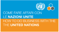 26 novembre 2020 ore 9 - Webinar "Come fare affari con le Nazioni Unite"