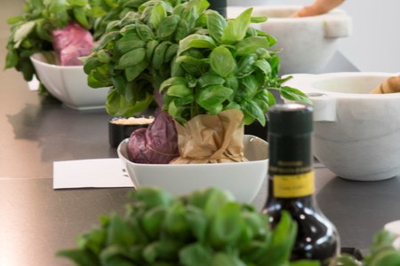 18 marzo 2021 - aggiornamenti sul Campionato: sabato la presentazione della mascot del Pesto