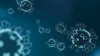 Coronavirus - le misure urgenti della Camera di Commercio di Genova aggiornate al 14 aprile