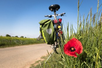 Luglio 2021 - Corso di formazione per operatori del turismo: il turismo slow e la tracciatura GPS di itinerari