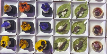 Dal 24 aprile al 4 maggio - Mangiare e bere con i fiori