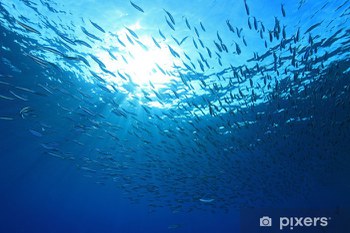 Camera di Commercio, l’habitat naturale della tua impresa