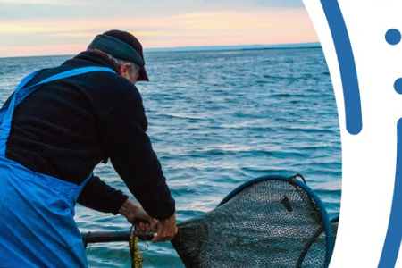 Sino al  31 marzo 2026 - Efficientamento energetico nella pesca: bando regionale