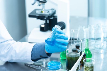 Sostegno alle attività di animazione, tutoraggio e accompagnamento delle imprese aderenti ai poli di ricerca ed innovazione