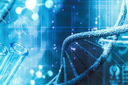 Supporto a progetti di R&S afferenti all'area salute e scienze della vita della S3 regionale