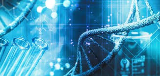 Supporto a progetti di R&S afferenti all'area salute e scienze della vita della S3 regionale