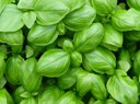 Agricoltura Agricoltura
