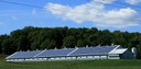Green Economy e Ambiente Green Economy e Ambiente