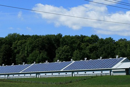 Green Economy e Ambiente