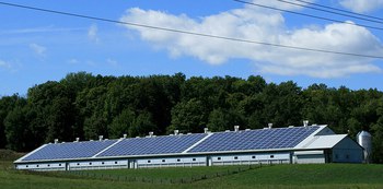 Green Economy e Ambiente