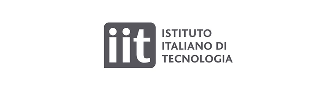 IIT - Istituto Italiano di Tecnologia