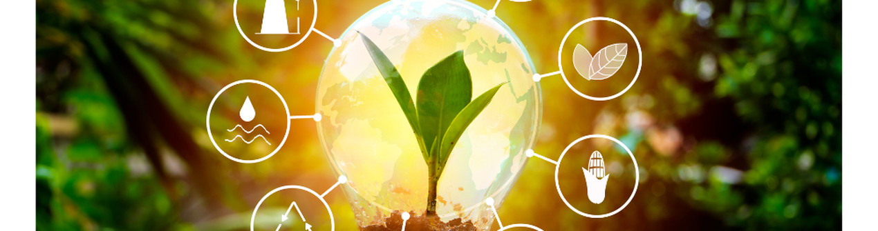 Audit Energetico: avviso pubblico per la selezione di imprese destinatarie di un servizio gratuito di diagnosi/audit energetico