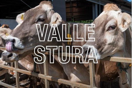 La 33° edizione di Expo Valle Stura nei weekend 26-27 settembre e 3-4 ottobre