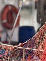 Fino all’11 maggio 2026, 500mila euro per due nuovi bandi dedicati a pesca e acquacoltura