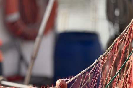 Fino all’11 maggio 2026, 500mila euro per due nuovi bandi dedicati a pesca e acquacoltura