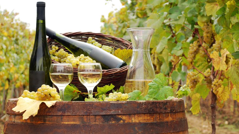 InBuyer wine&spirits 18_20 novembre 2025