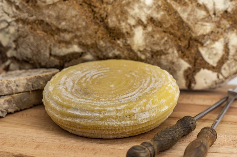 Formaggetta Cabannina