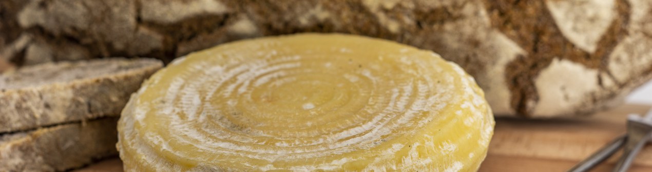 Formaggetta Cabannina