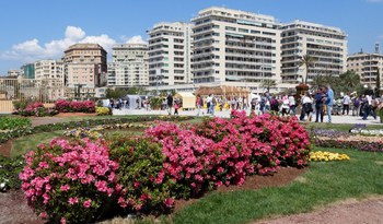 Osservatorio Turistico Regionale Rapporto Annuale 2024