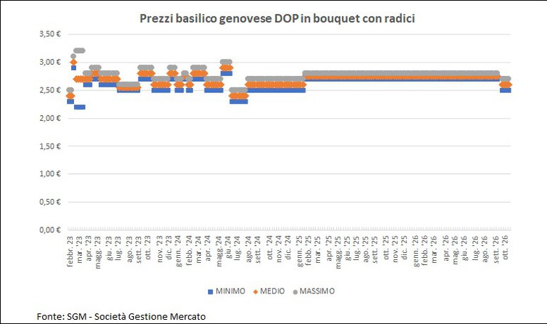 231026 basilico grafico 231026 basilico grafico