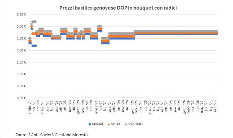 240826 basilico grafico