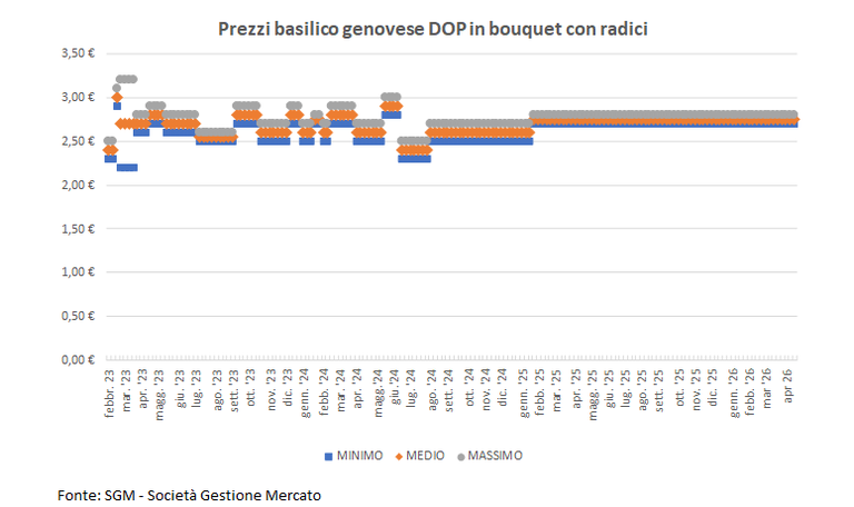 grafico basilico