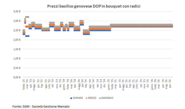 260626 grafico basilico 260626 grafico basilico